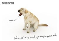 Herken-de-lichaamstaal-van-je-hond (1)